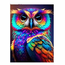 Artesanato Pintura Com Diamante Diy 30X40 - CORUJA TM-DW2344