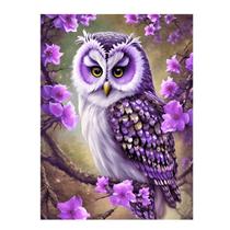 Artesanato Pintura Diamante Diy 30X40 - CORUJA ROXA