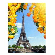 Artesanato Pintura Diamante Diy 30X40 - EIFFEL FLORIDA