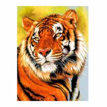 Artesanato Pintura Diamante Diy 30X40 - tigre CY-DW09893