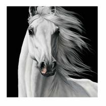 Artesanato Pintura Diamante Diy 30X40 - WHITE HORSE II