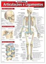 Articulações e Ligamentos - Avançado - Barros Fischer & Associados Articulações e Ligamentos - Avançado - Barros Fischer & Associados