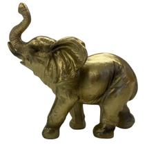 Artigo Decoração Enfeite Casa Estátua Pequeno Elefante Africano Resina Dourado BZ36287-1 - Bras Continental