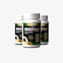 Artrinutri (Condroitina + Colágeno T2 + Gluco + Á. Hialurônico) - 60 caps - Kit 3 unidades Artrinutri (Condroitina + Colágeno T2 + Gluco + Á. Hialurônico) - 60 caps - Kit 3 unidades