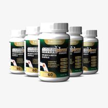 Artrinutri (Condroitina + Colágeno T2 + Gluco + Á. Hialurônico) - 60 caps - Kit 5 unidades