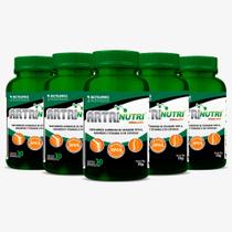 Artrinutri Dimalato - Colágeno Tipo 2 + Magnésio + Vitamina D3 - 30 cápsulas KIT 5 Unidades Artrinutri Dimalato - Colágeno Tipo 2 + Magnésio + Vitamina D3 - 30 cápsulas KIT 5 Unidades