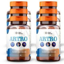 Artro- 60 cápsulas 1g C/6