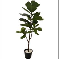 Árvore Artificial Ficus Lyrata 120m Planta com Toque Real no Gesso