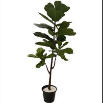 Árvore Artificial Ficus Lyrata Planta Toque Real No Gesso Árvore Artificial Ficus Lyrata Planta Toque Real No Gesso