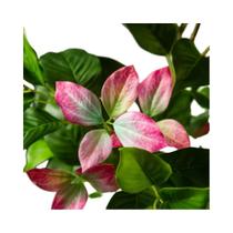 Árvore Artificial Grande De Ficus De 82-144cm, Ramo Falso De Magnólia, Banyan E Nandina Para
