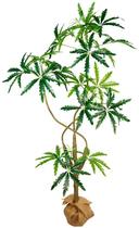 Arvore Artificial Planta Grande Arália Elegante 1.6m Realista