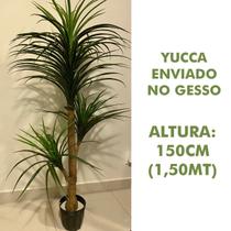 Árvore Artificial Yucca 150cm Planta Permanente no Gesso (Yuka) - Decore Fácil Shop