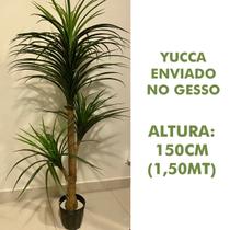 Árvore Artificial Yucca 150cm Planta Permanente no Gesso (Yuka)