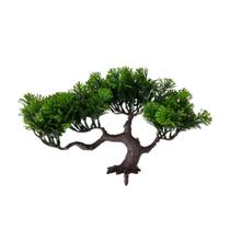 Arvore Bonsai