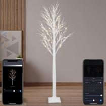 Árvore de bétula inteligente Aoycocr de 6 pés com 120 luzes LED 18 modos Árvore de bétula inteligente Aoycocr de 6 pés com 120 luzes LED 18 modos