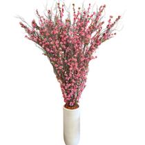 Árvore De Cerejeira Pessegueiro Rosa 1.50mt Flores Real Árvore De Cerejeira Pessegueiro Rosa 1.50mt Flores Real
