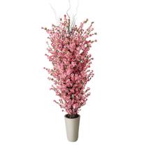 Árvore De Cerejeira Pessegueiro Rosa 2.00mt Grande Cheia 3D