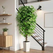 Árvore de Ficus Artificial FSOHOI 180 cm para Interior com Vaso Branco Árvore de Ficus Artificial FSOHOI 180 cm para Interior com Vaso Branco