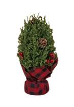 Árvore de Mesa Mini 18cm Vermelha e Verde para Decoração Natalina