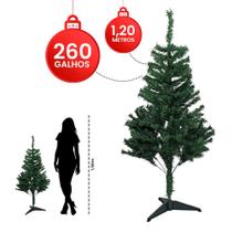 Arvore de Natal Linha Luxo pinheiro 1,20cm 260 galhos cheia - Wincy Natal