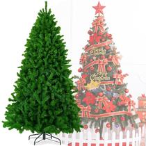 Árvore De Natal Pinheiro Imperial Tamanho Grande Premium