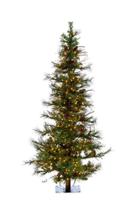 Árvore de Natal Vickerman Ashland de 6 pés com luzes LED brancas quentes Árvore de Natal Vickerman Ashland de 6 pés com luzes LED brancas quentes