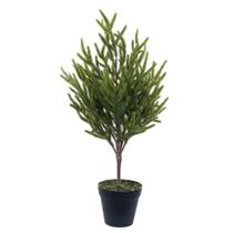 Árvore de Pinheiro Norfolk em Vaso Vickerman 60 cm Verde Árvore de Pinheiro Norfolk em Vaso Vickerman 60 cm Verde