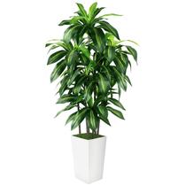 Árvore Dracaena artificial PUUKU 150 cm com plantador branco interno Árvore Dracaena artificial PUUKU 150 cm com plantador branco interno