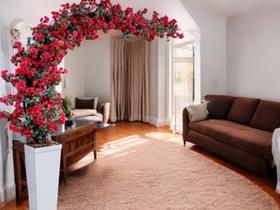 Arvore Flores de Primavera Bougainville 2.5 Metros Vermelho