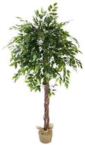 Arvore Grande Folhagem Real Planta Ficus 165cm Decoração Arvore Grande Folhagem Real Planta Ficus 165cm Decoração