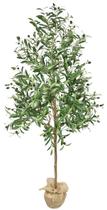 Arvore Grande Real Oliva Planta Oliveira 180cm Permanente Arvore Grande Real Oliva Planta Oliveira 180cm Permanente