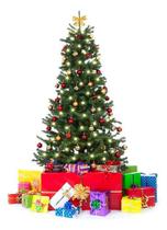 Árvore Natal Alpino 150cm Premium Cheia Decoração Luxo - Vitória Christmas
