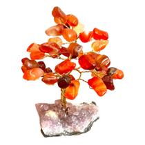 Árvore Pedra Cornalina, Base Drusa Ametista - Energética