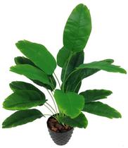 Árvore Planta Bananeira Verde 18 Folhas 80cm Folhagem