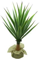 Arvore Planta Grande 90cm Suculenta Agave Sala e Vaso