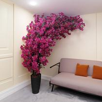 Arvore Planta Instagramavel Flores de Bouganville 2mt