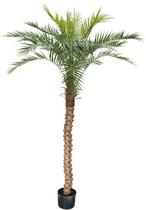 Arvore Planta Palmeira Fênix 21 folhas 190cm Artificial Tropical