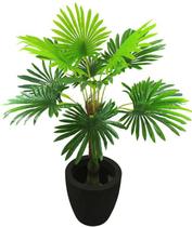 Arvore planta Palmeira Palmeira Leque 135cm Coqueiro Verde
