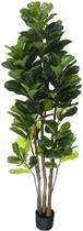 Arvore planta Verde Fícus Lyrata 180cm Folhagem Grande