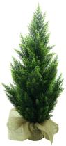 Arvore Planta Verde Folhagem Cipreste Premium 90cm Com Pote