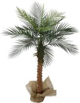 Arvore Planta Verde Folhagem Palmeira Fênix 150cm Coqueiro