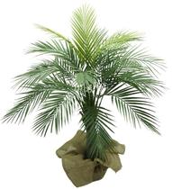 Arvore Planta Verde Palmeira Fênix Coqueiro 120cm Premium - La Caza Store