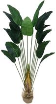 Árvore Planta Verde Palmeira Ravenala 190cm Bananeira grande