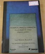 As Construçoes Clivadas No Portugues Do Brasil