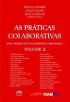 As Práticas Colaborativas Sob a Perspectiva da Experiência Brasileira - EDITORA PROCESSO As Práticas Colaborativas Sob a Perspectiva da Experiência Brasileira - EDITORA PROCESSO