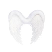 Asa de Anjo Branca com penas