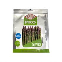 Aspargo Olivio - 10gramas de Sementes