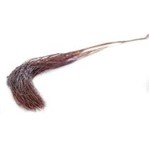 Aspargo Vassora Natural Desidratado