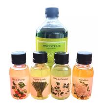 Aspirador Rainbow KIT (Nacional) Bactericida Frech Air 500ml + Fragrância 4 Unidades de 60ml