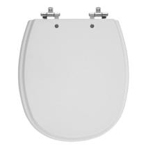 Assento Laqueado Aspen Cinza Real (Claro) Tampa Vaso Deca Assento Laqueado Aspen Cinza Real (Claro) Tampa Vaso Deca